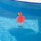 Swimline 12" Pink Flamingo Floating Pool Chlorine Dispenser